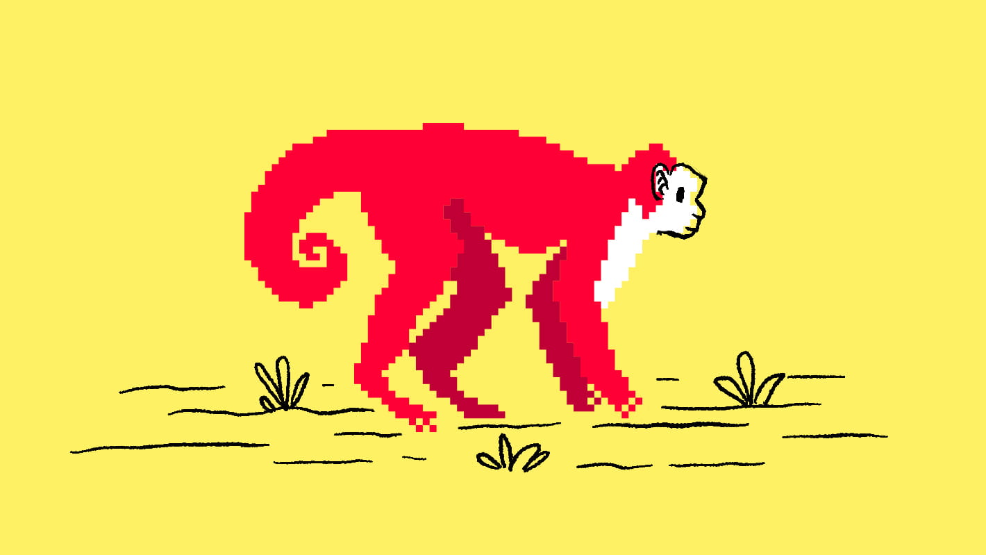 Monkey